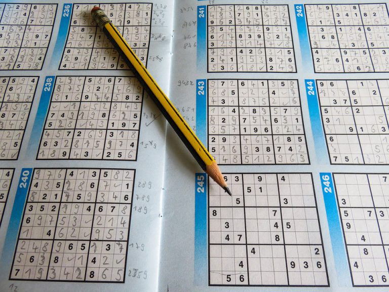 Sudoku US leisure puzzles sudoku pencil - Top Games to Exercise Your Brain